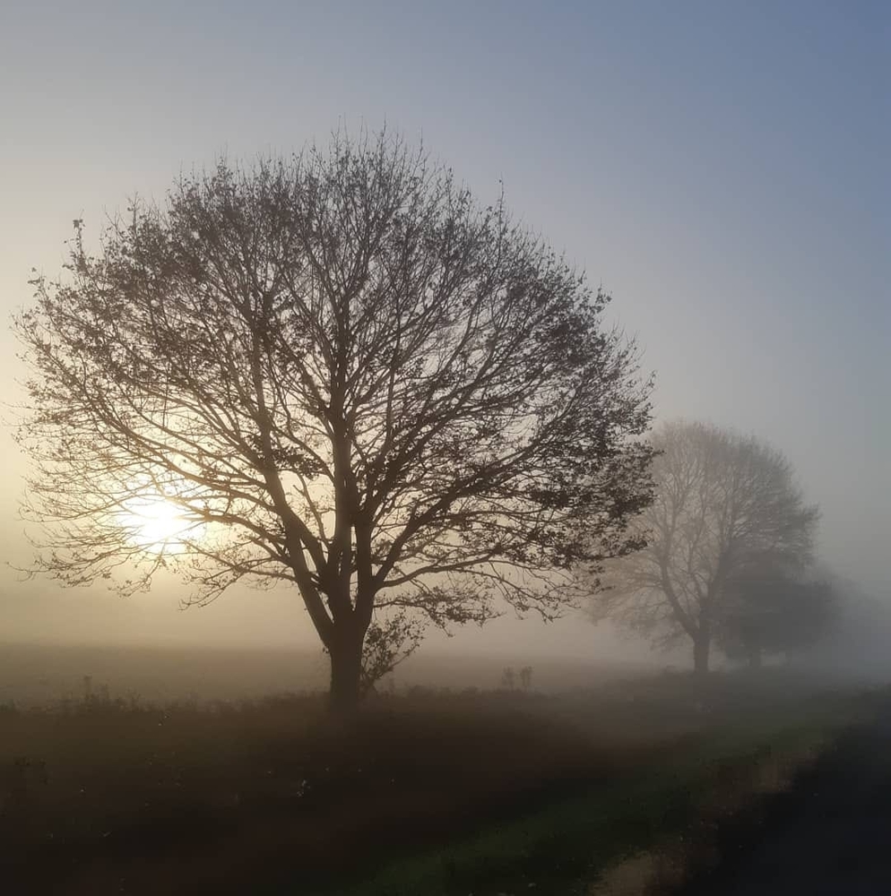 Meet your Posher, Juliana